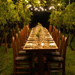 evento colheita noturna larentis 2027