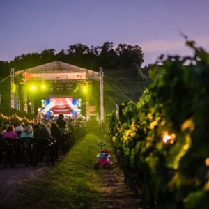 natal 2026 vale dos vinhedos show