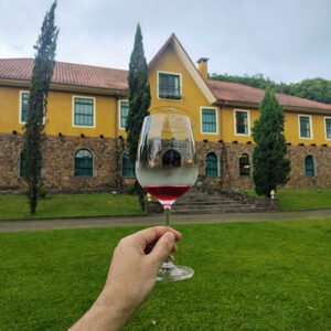 vindima 2027 vinicola ravanello gramado
