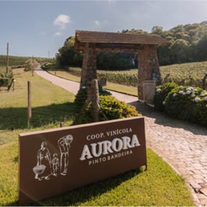 vindima vinicola aurora pinto bandeira