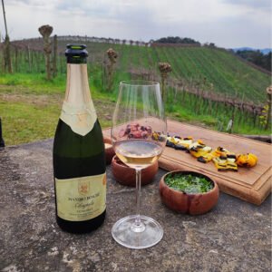 vinicola maximo boschi primavera